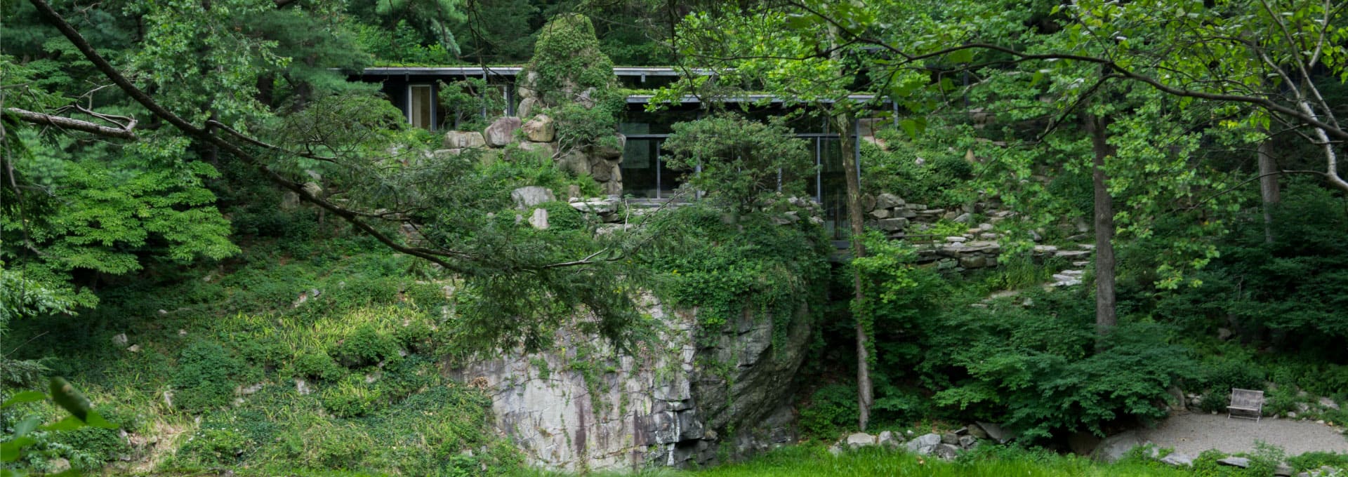 House surrounded by vegetation