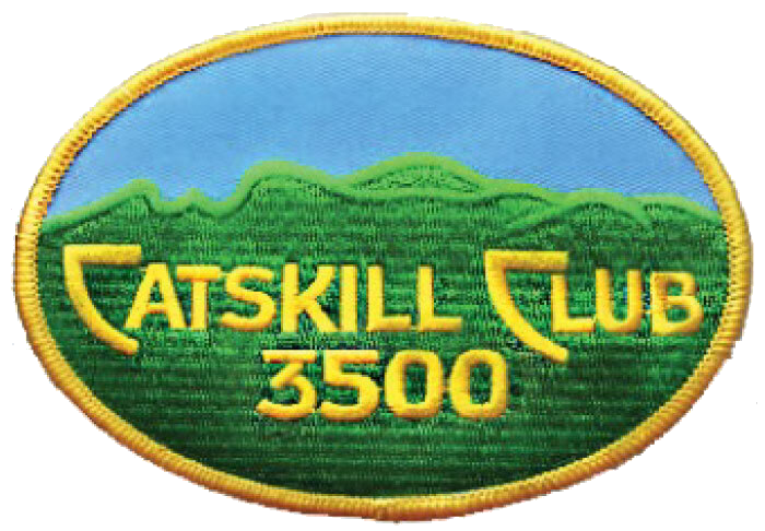 Catskills 3500 patch