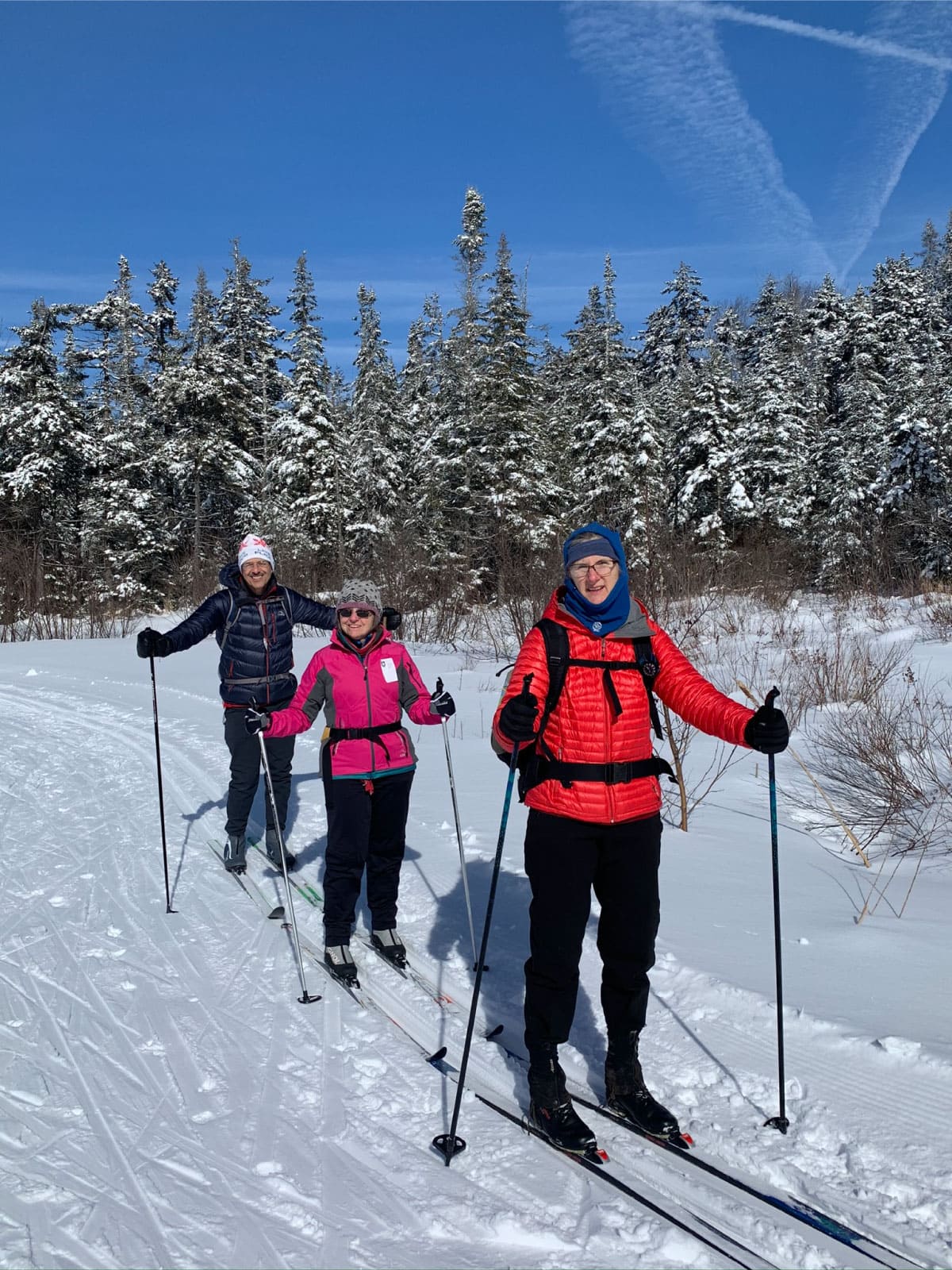 Cross-country skiers