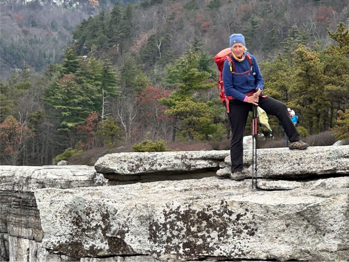 Hiker with poles